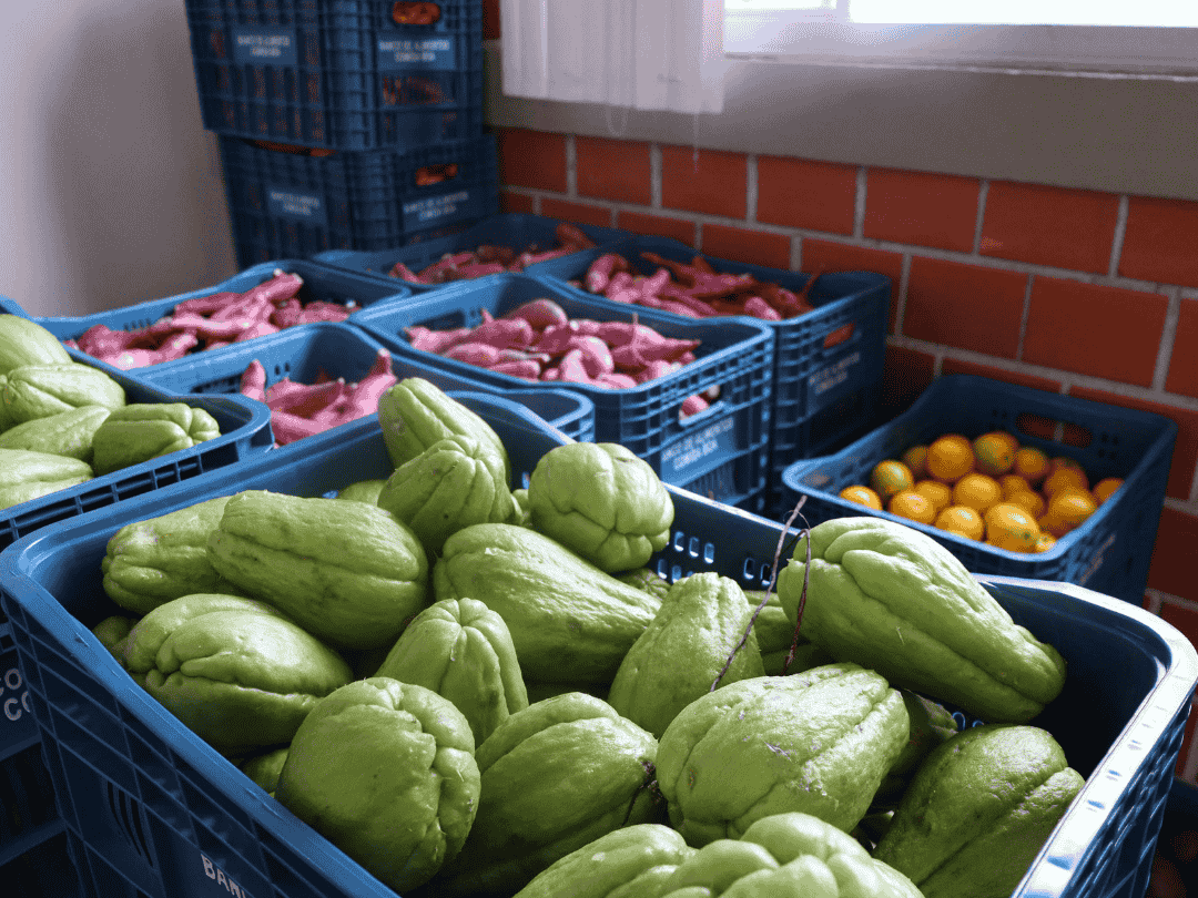 Aparência x qualidade: saiba como evitar desperdício de alimentos