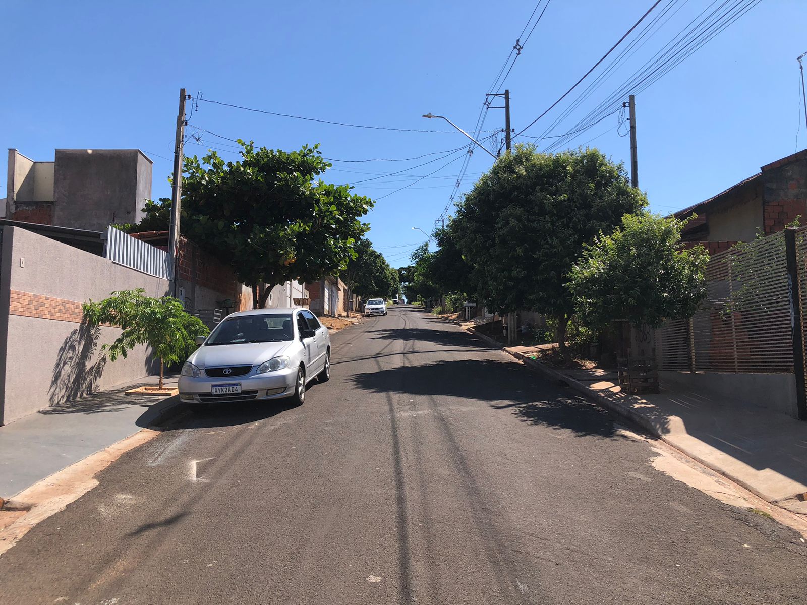 Jornal Ilustrado - Menina de 13 anos é hospitalizada após ser picada por cascavel dentro de casa em Umuarama