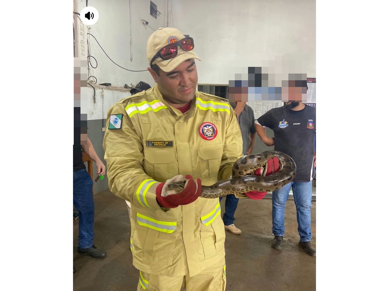 Jornal Ilustrado - Bombeiros capturam sucuri encontrada no motor de carro em Francisco Alves