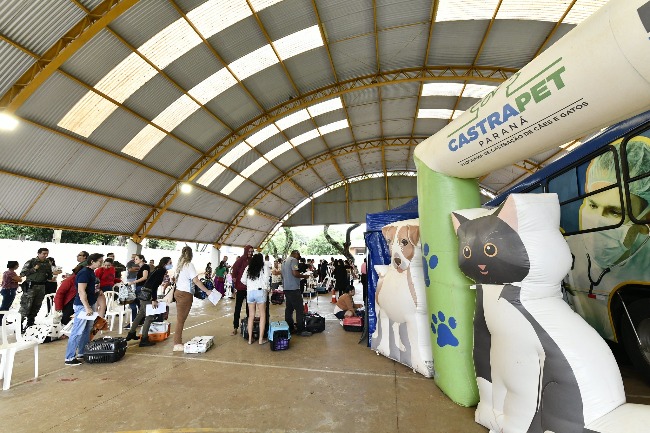Quase 380 animais foram cadastrados para castração gratuita