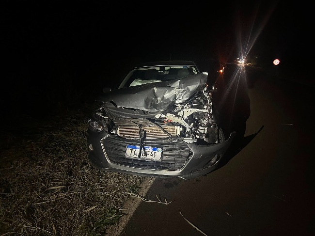 Jornal Ilustrado - Animal na pista causa morte de motorista de ambulância em Ivaté