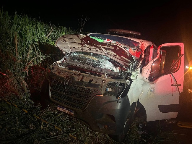 Jornal Ilustrado - Animal na pista causa morte de motorista de ambulância em Ivaté