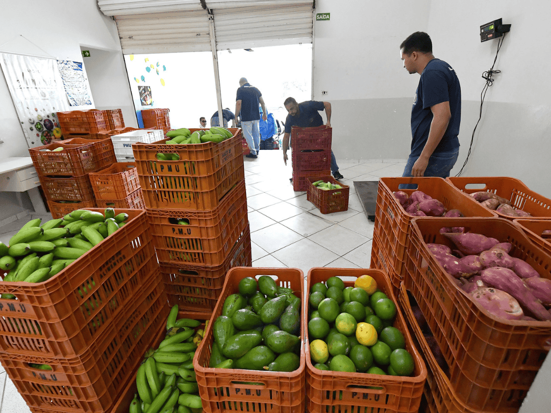 Jornal Ilustrado - Banco de Alimentos de Umuarama fortalece programas e amplia repasse de produtos