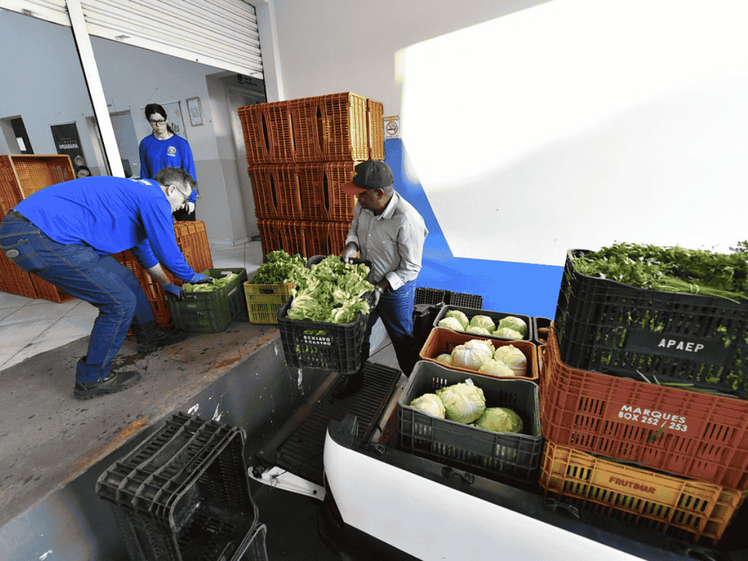 Mais de 70% dos alimentos adquiridos na merenda escolar em Umuarama são da agricultura familiar