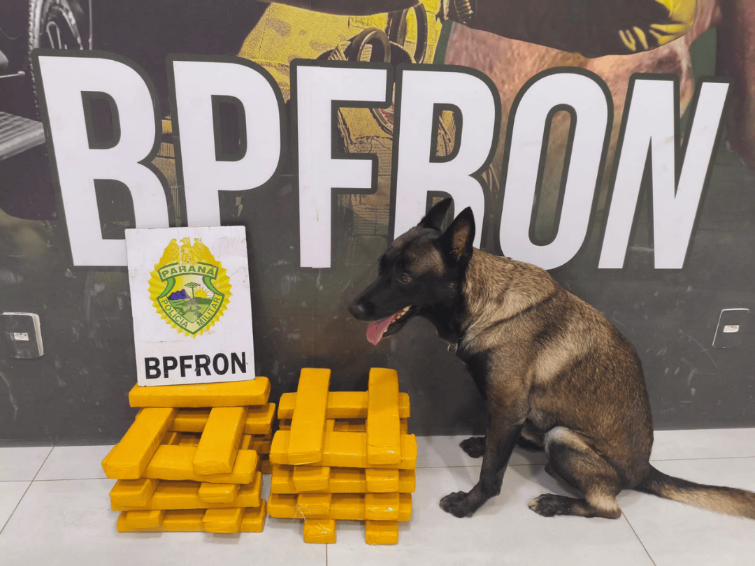 Passageiro é flagrado com R$ 40 mil em maconha na rodoviária de Umuarama