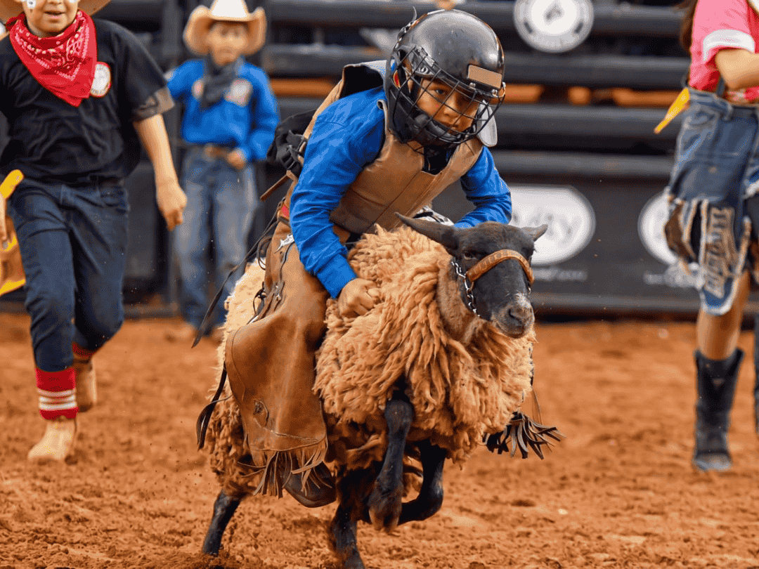 SRU inicia inscrições para o Rodeio Mirim da Expo Umuarama 2026; veja como participar