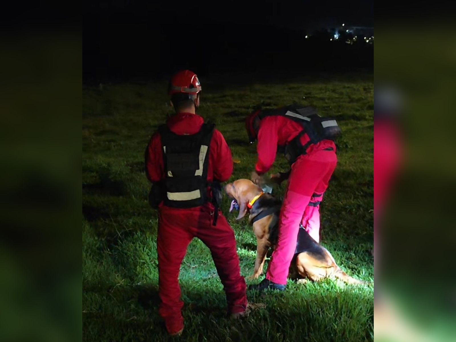 Jornal Ilustrado - Bombeiros realizam buscas por adolescente de 13 anos desaparecido em Mariluz 