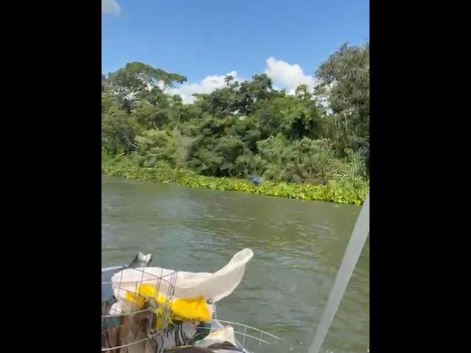 Jornal Ilustrado - Lancha pode ter provocado incidente que levou estudante a desaparecer no rio Paraná. COM VÍDEO