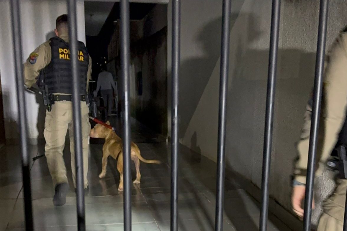 Jovem é atacada pelo próprio Pitbull e PM intervém para conter o animal