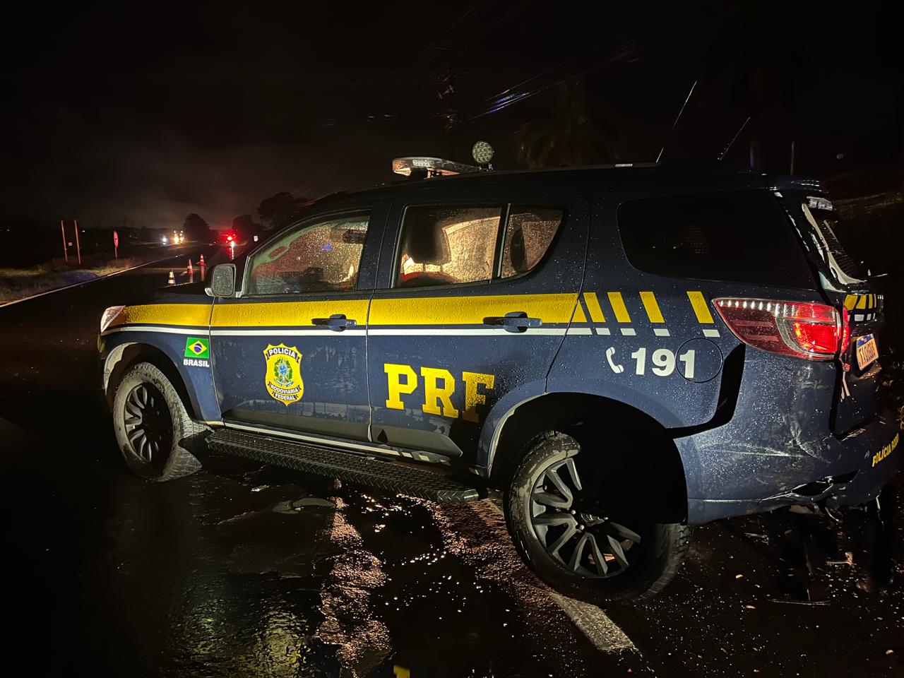 Jornal Ilustrado - Condutor morre após carro atropelar capivara no meio da pista e capotar no PR