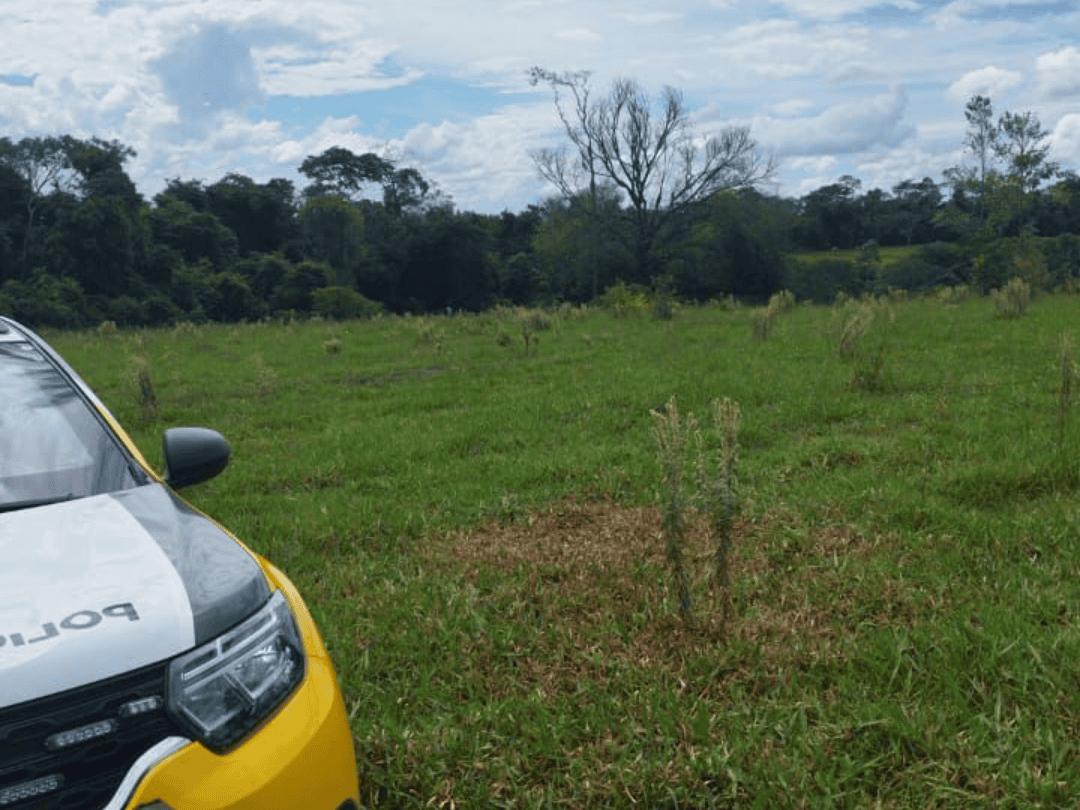 Cadáver encontrado em Altônia segue sem identificação