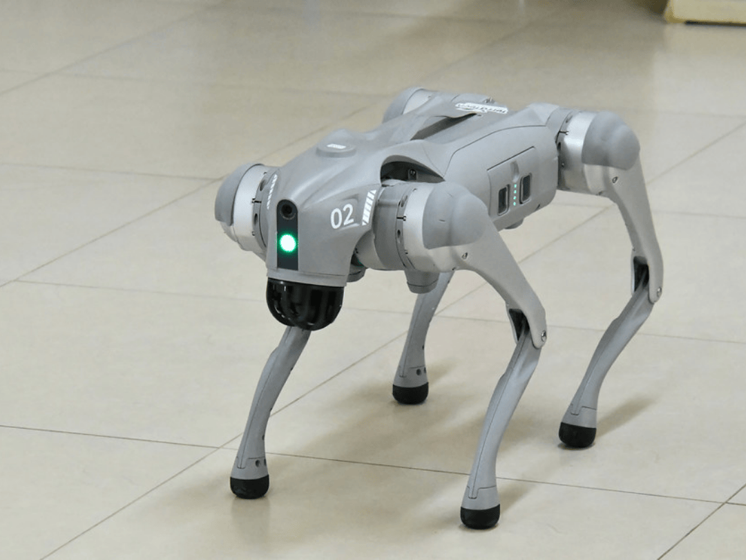 ‘Cachorro-robô’ fortalece ensino e inovação tecnológica no Technopark de Umuarama