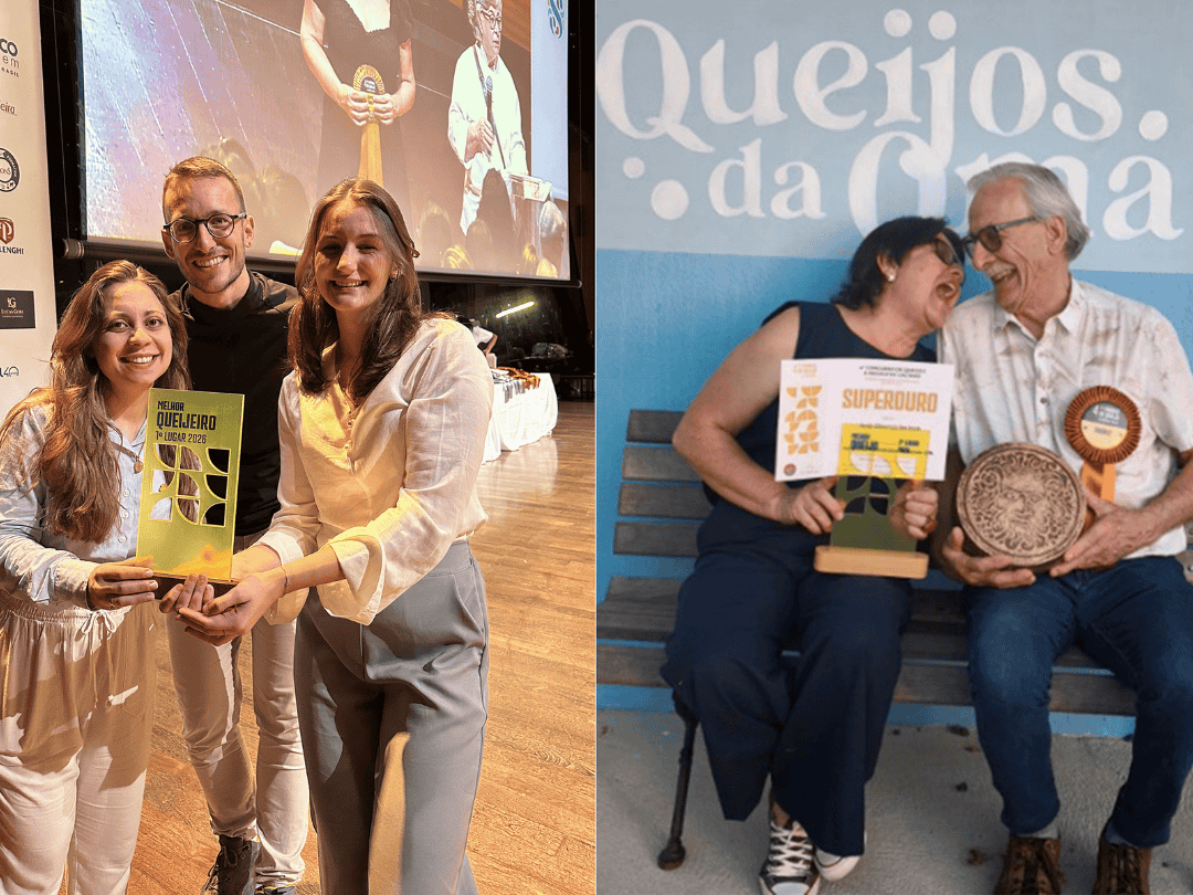 Jornal Ilustrado - Paraná tem melhores queijeiros do Brasil e 44 queijos premiados em campeonato mundial