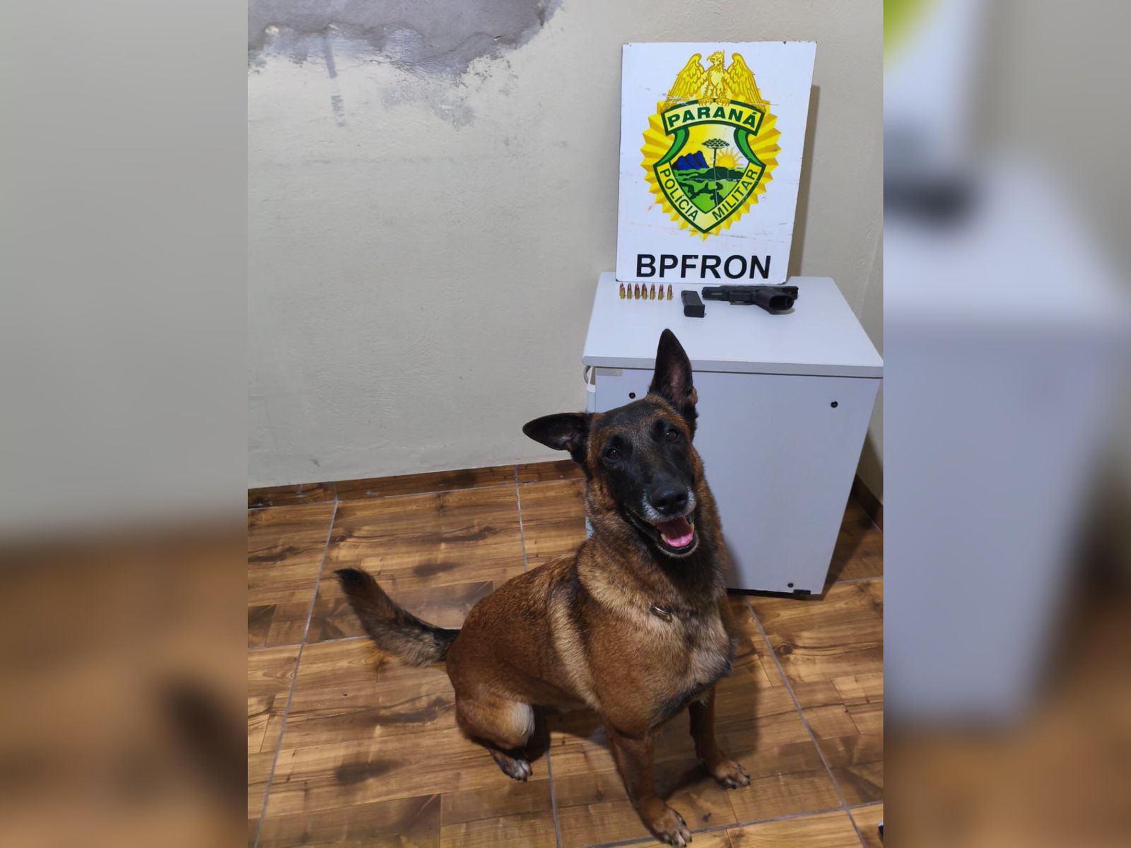 Homem é preso com arma de fogo após abordagem do BPFron em Terra Roxa 