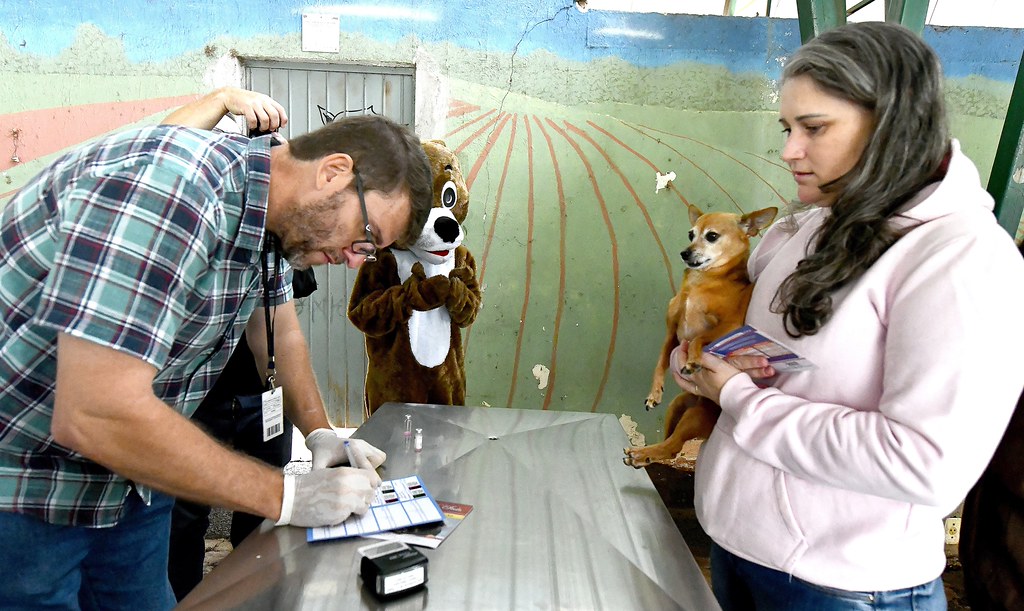 Prefeitura doa 300 vacinas contra raiva para cães acolhidos pela Saau