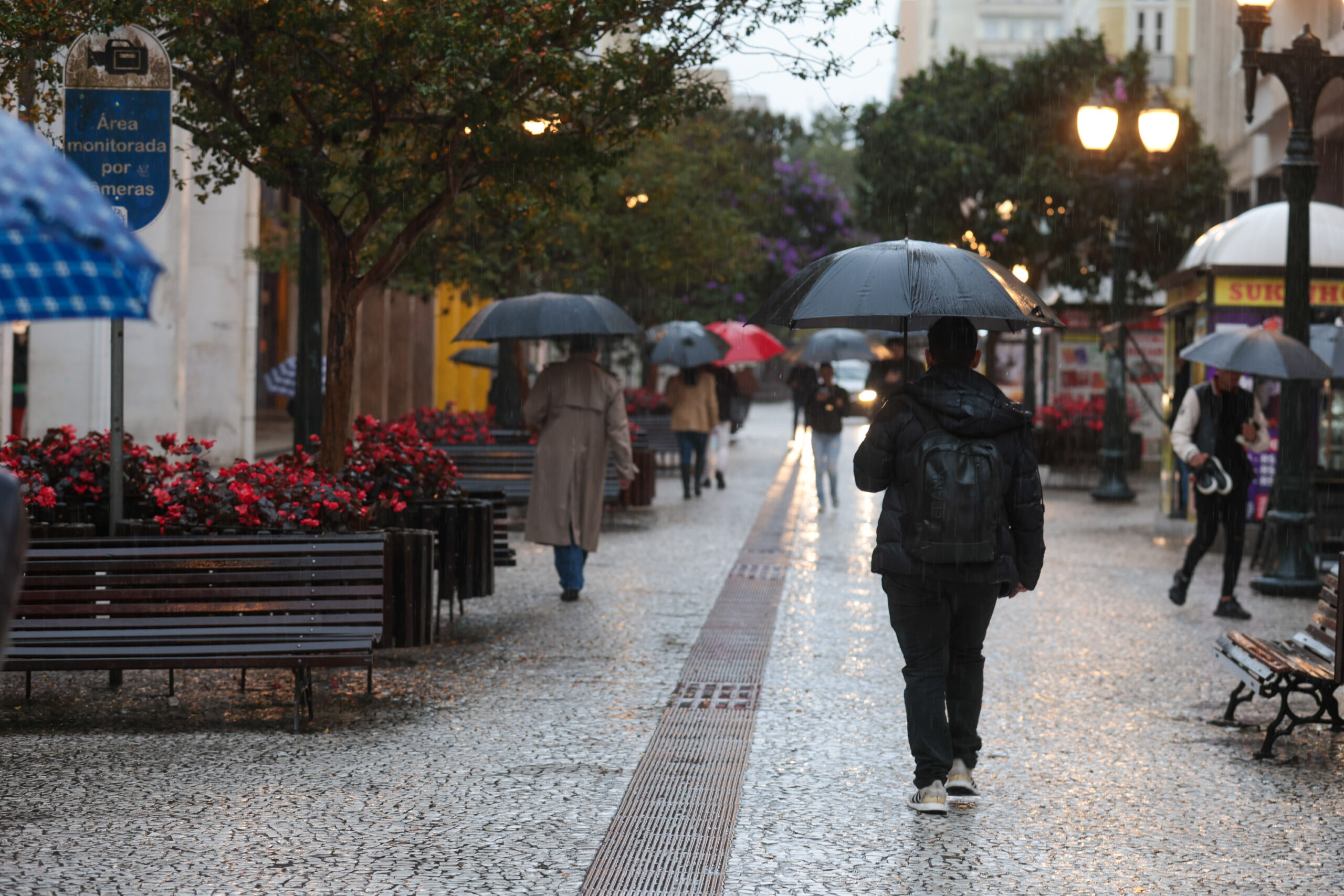Jornal Ilustrado - Fim de semana será gelado e com chuva em boa parte do Paraná, prevê Simepar