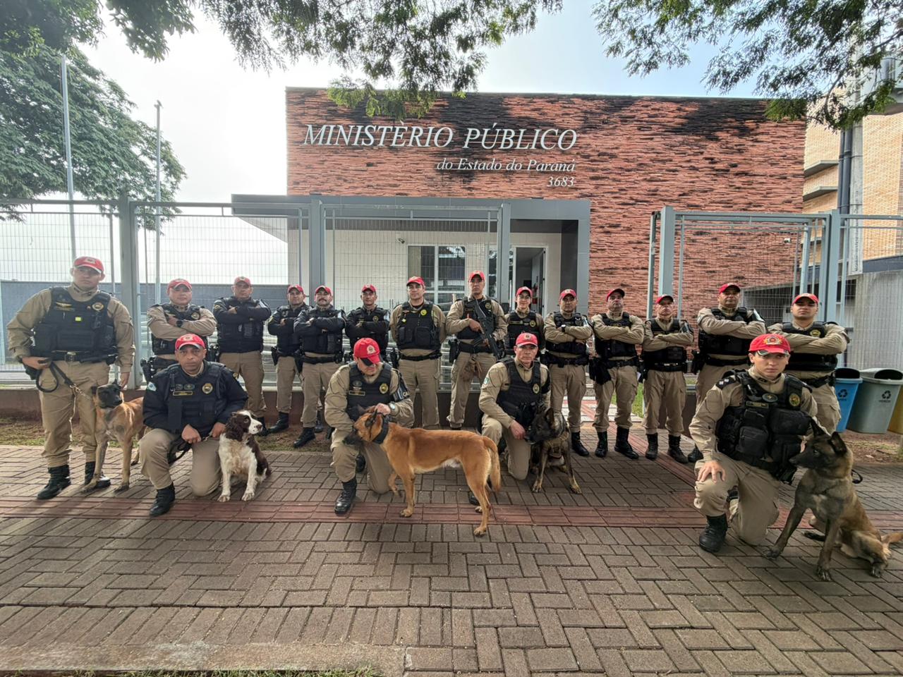 Jornal Ilustrado - Gaeco realiza operação contra grupo suspeito de tráfico de drogas e armas em Umuarama