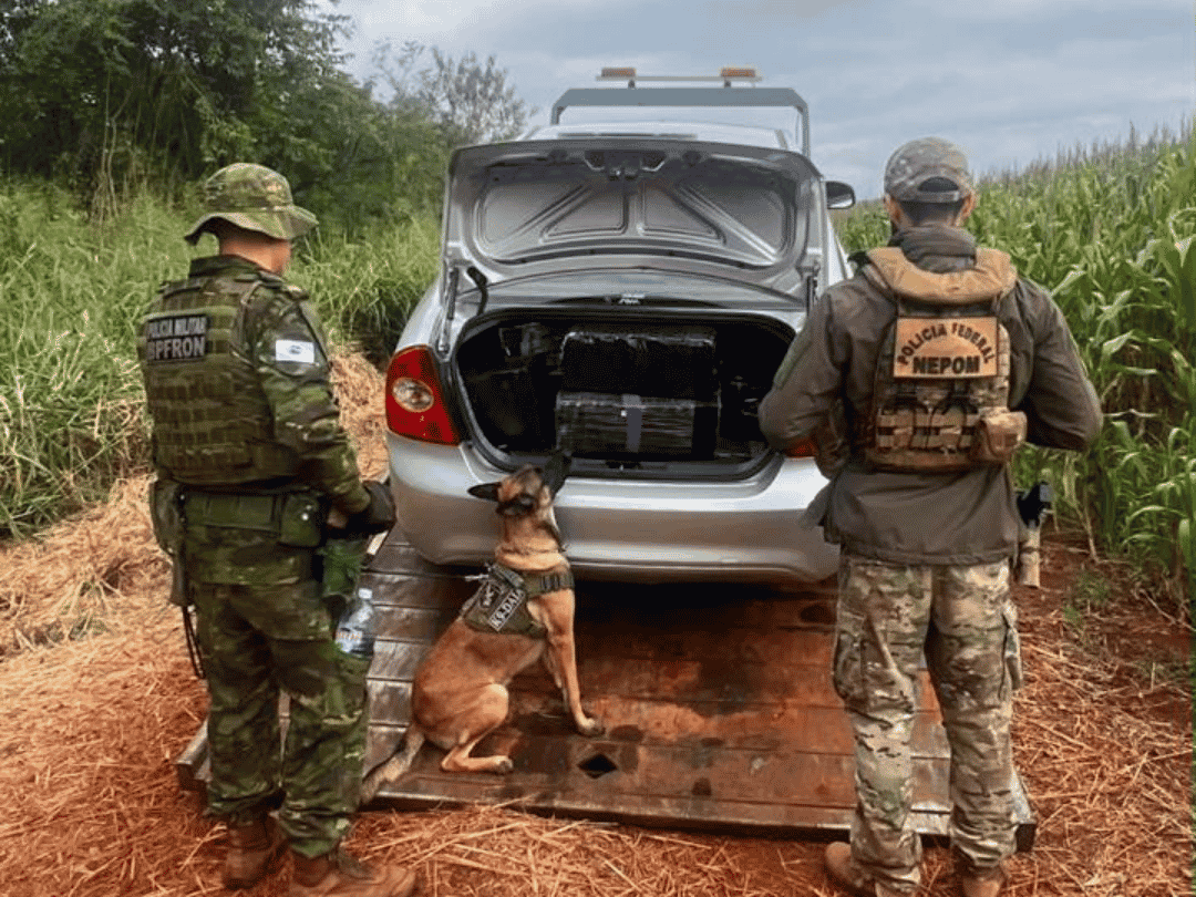 Jornal Ilustrado - BPFron apreende 300 kg de maconha após perseguição na zona rural de Guaíra