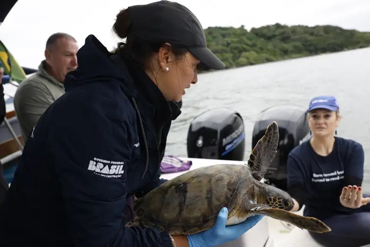 Mais de 93% dos peixes vendidos no litoral do Paraná têm microplástico