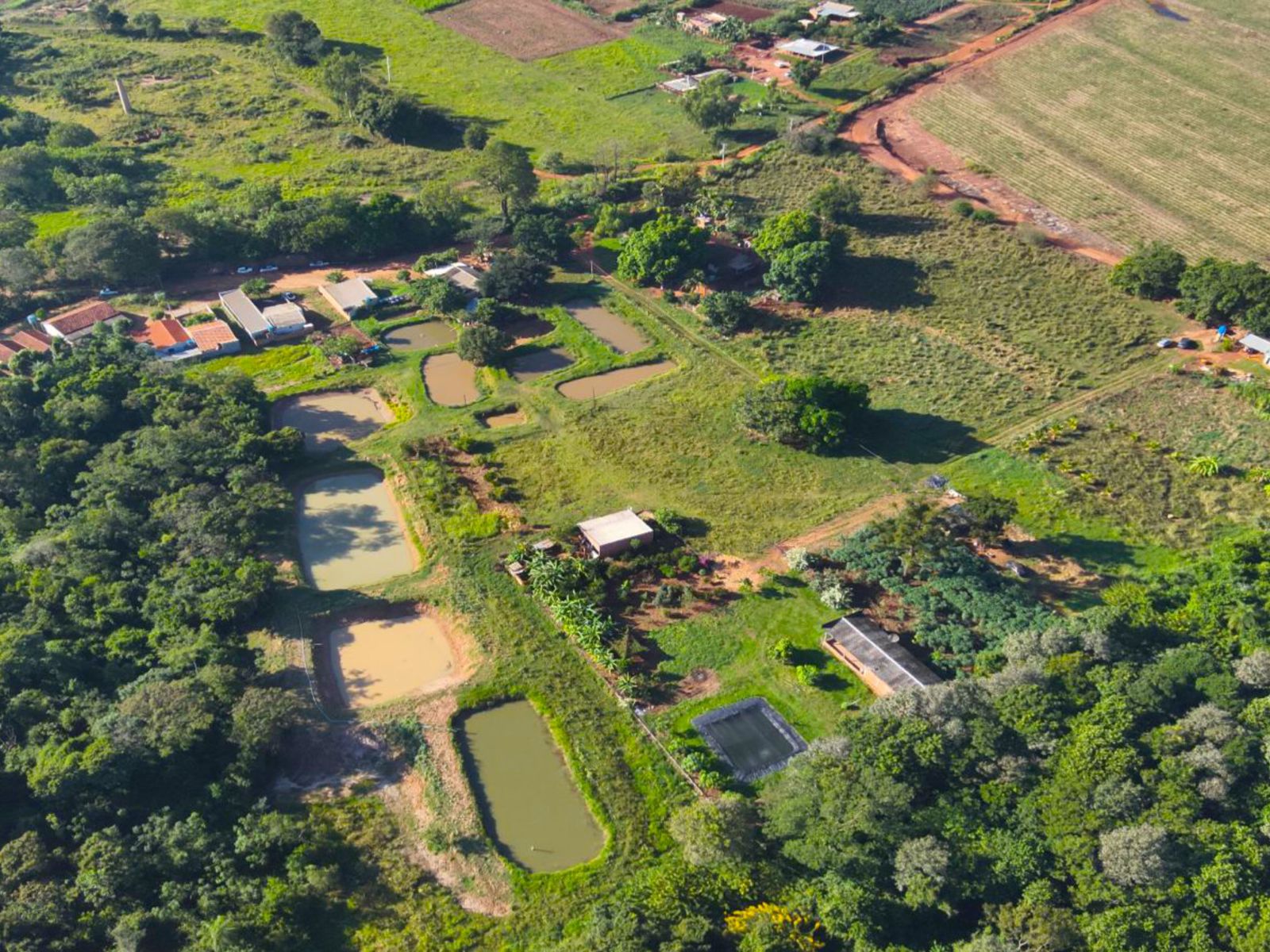 Jornal Ilustrado - Polícia Ambiental aplica R$ 4,5 milhões em multas por loteamento irregular em Ivaté