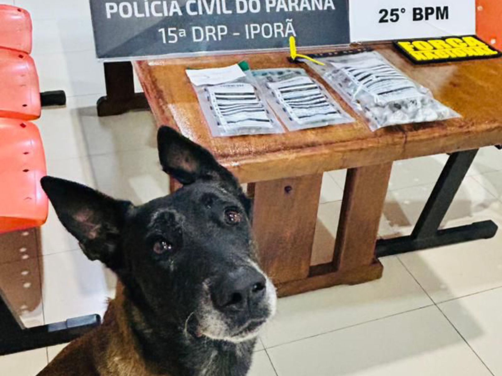 Polícia Civil prende mãe e filho por tráfico de drogas em Francisco Alves 