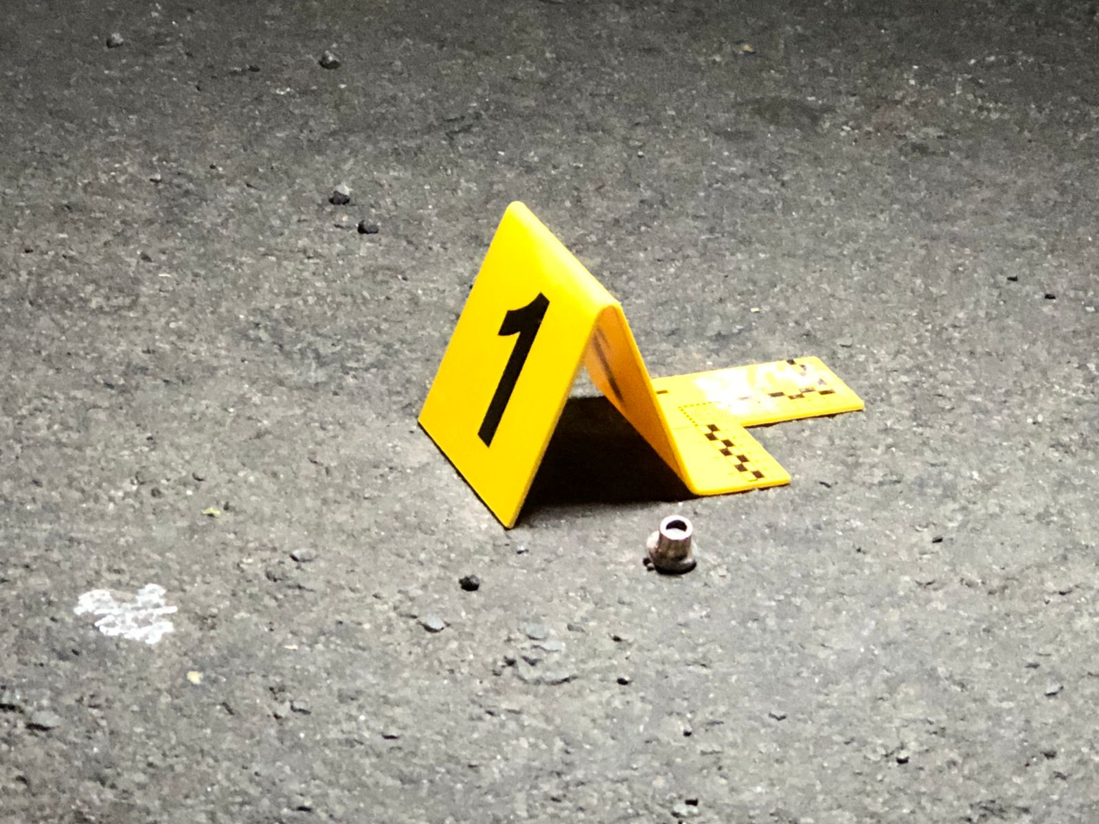 Jornal Ilustrado - Após atentado, suspeito tenta agredir e tomar arma de policiais durante prisão