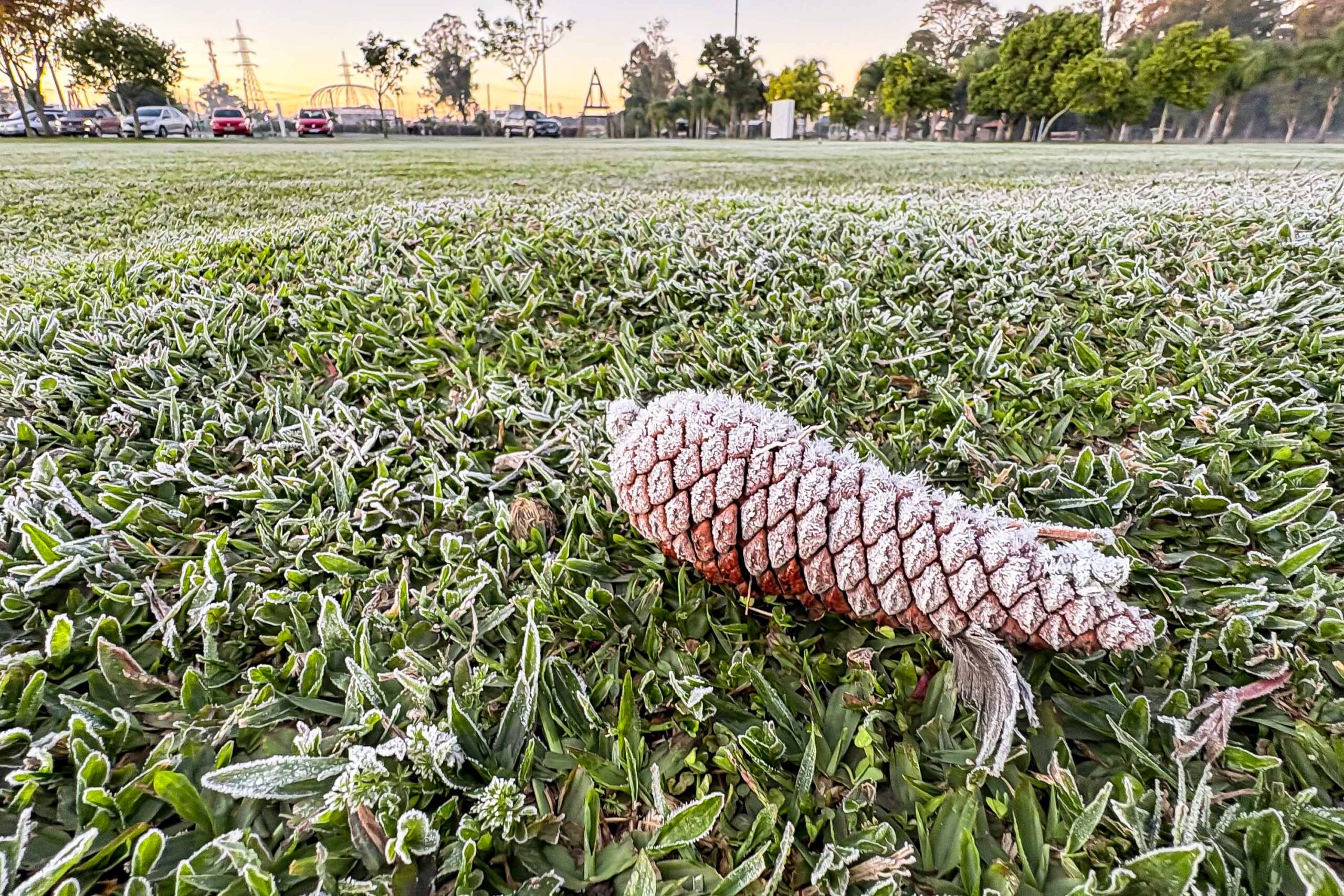 Jornal Ilustrado - Sinais de inverno: maio terá frentes frias, geada e temperaturas abaixo de 10°C