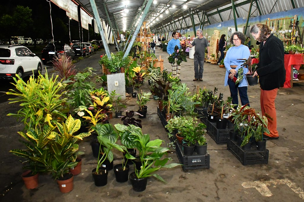 Feira especial com presentes e atrações está aberta neste sábado e no domingo