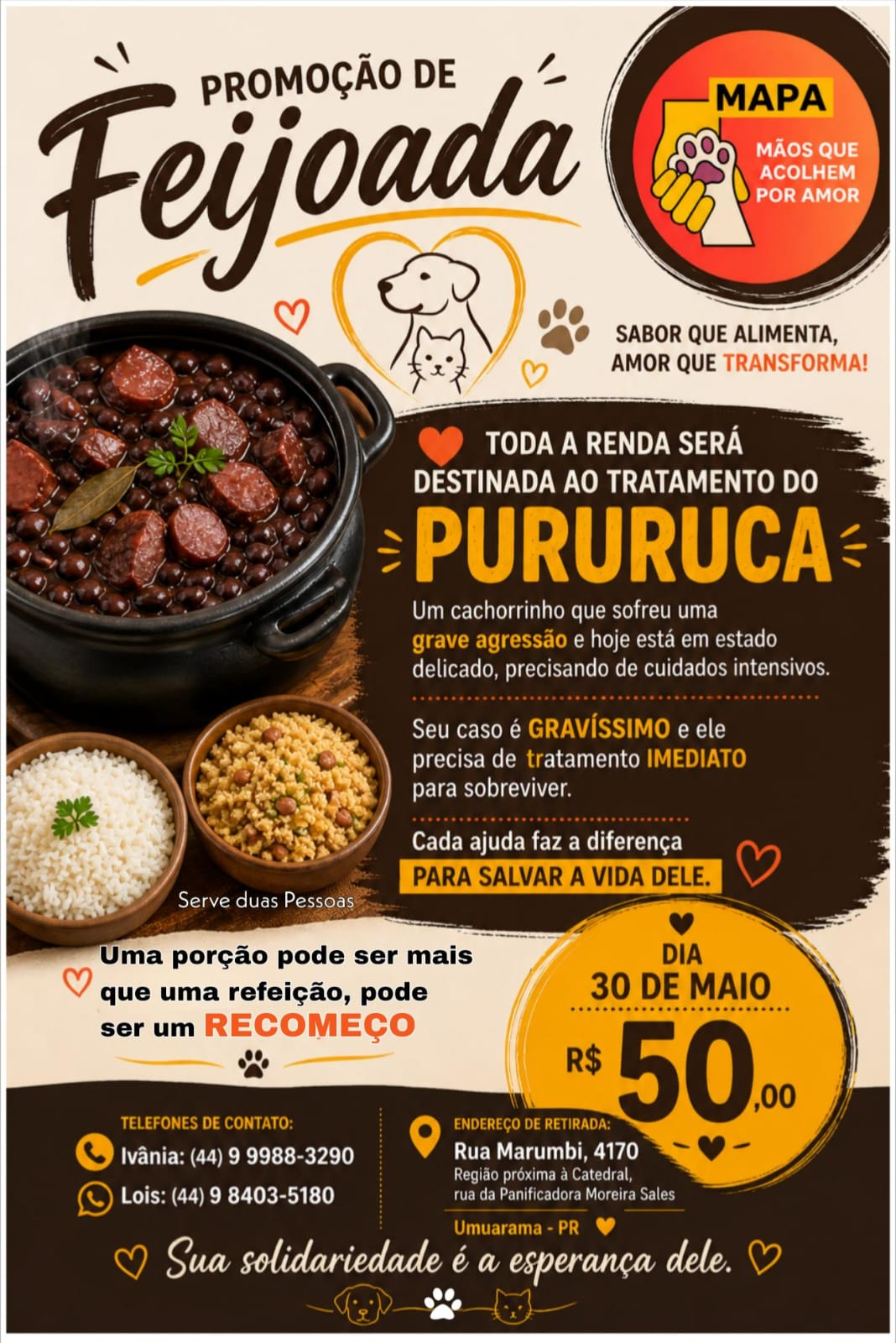 Jornal Ilustrado - Cão queimado com combustível luta pela vida há mais de 2 meses; saiba como ajudar