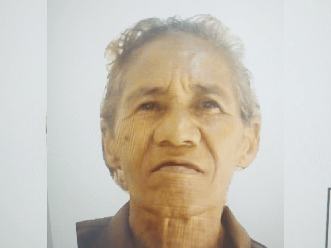 Buscas por mulher desaparecida ganham reforço com cães e voluntários