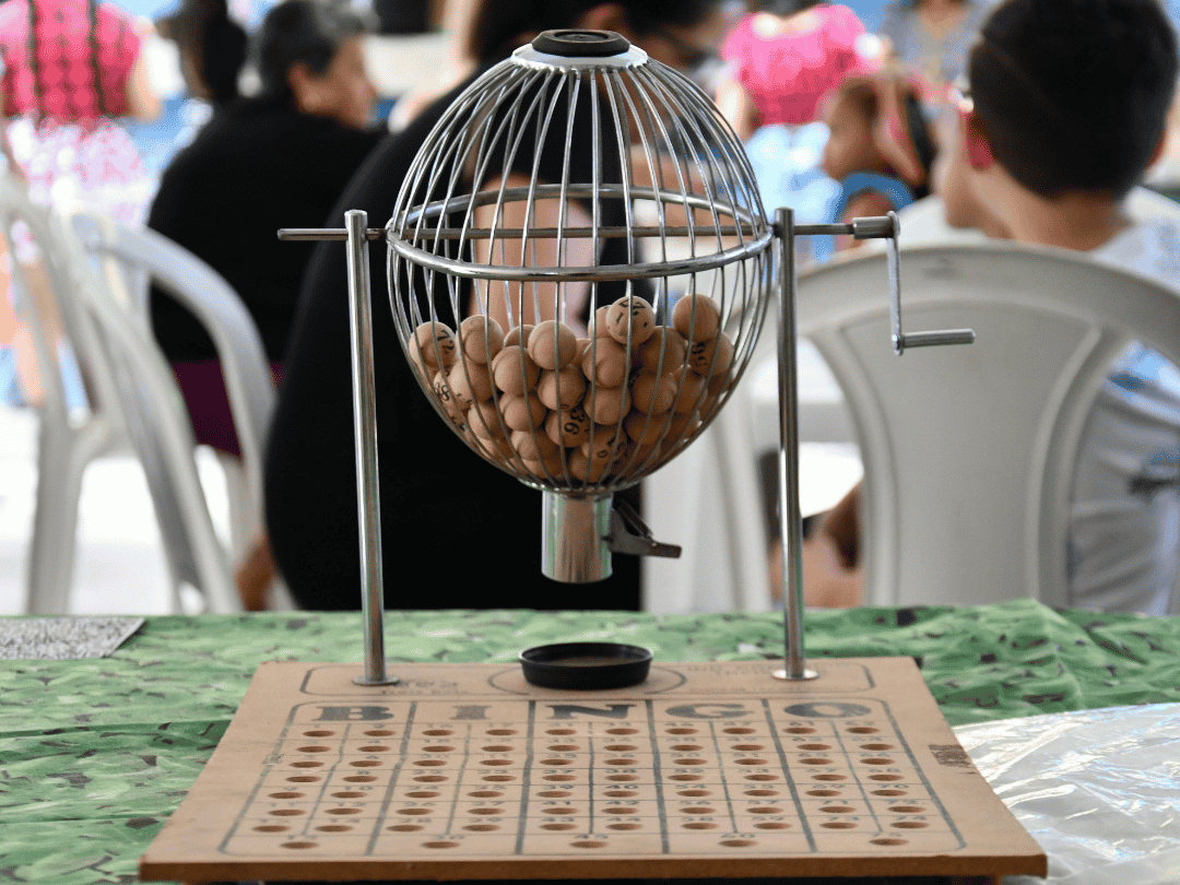 Bingo solidário vai ajudar a custear castração de dezenas de gatos em Umuarama