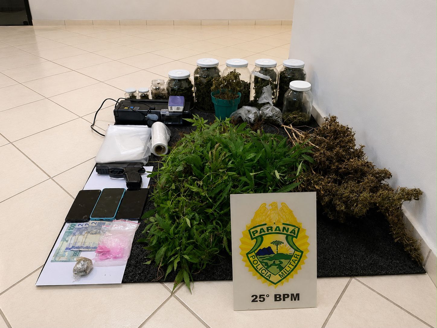Umuarama: casal mantinha plantação e grande estrutura para processar drogas em chácara