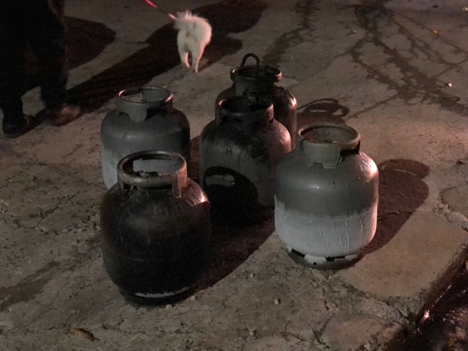 Jornal Ilustrado - Incêndio em açougue mobiliza bombeiros e PM na Zona III de Umuarama