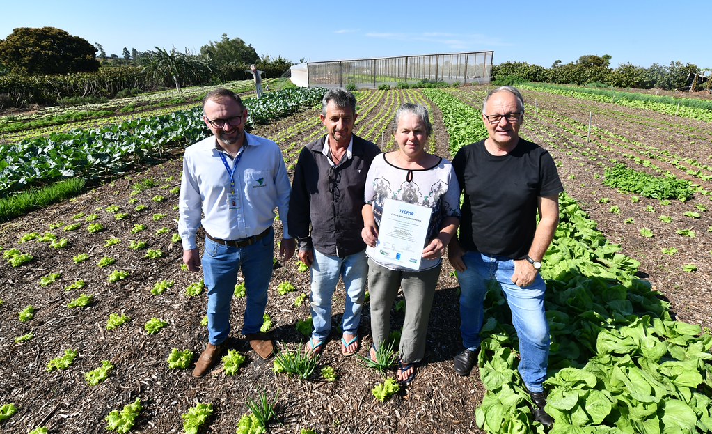 Jornal Ilustrado - Produtores da Cooperu recebem certificação de produtos orgânicos em Umuarama