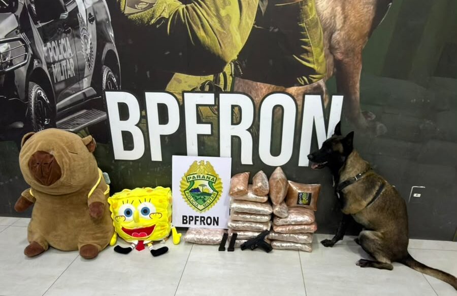 Jornal Ilustrado - Bichos de pelúcia escondiam R$ 336 mil em drogas na rodoviária de Umuarama; mulher é presa com pistola
