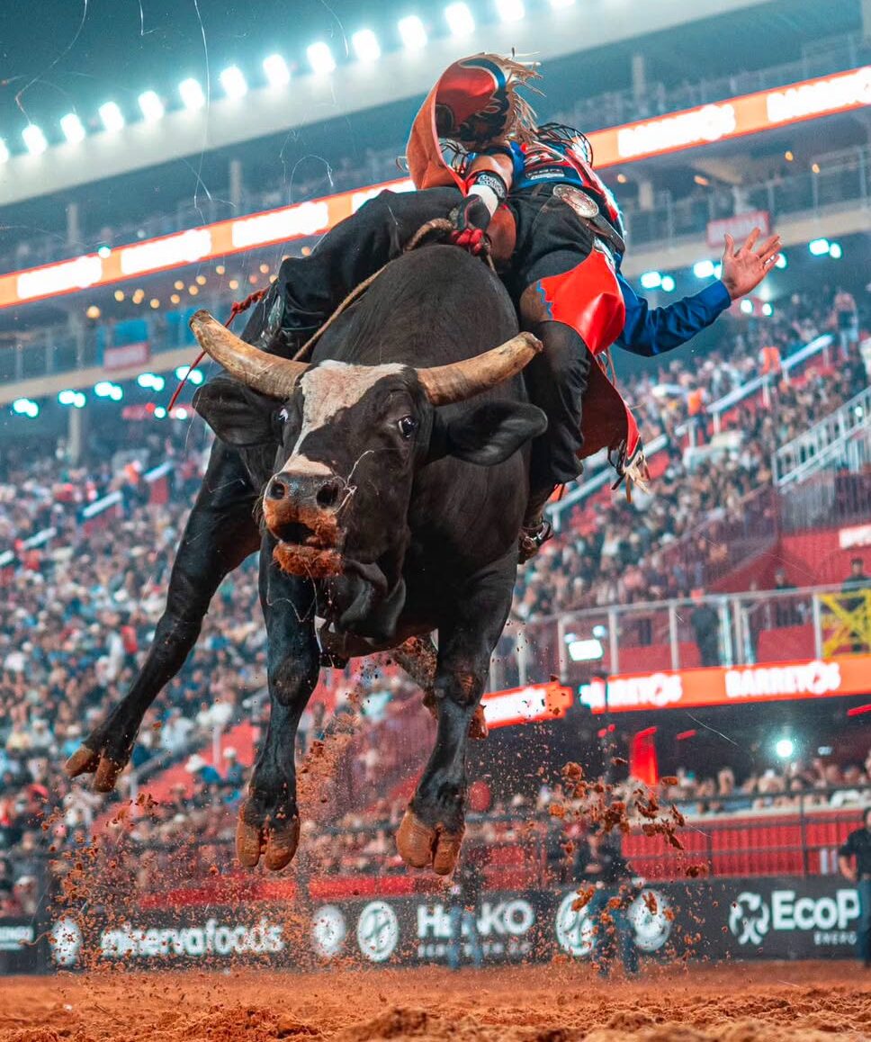 Jornal Ilustrado - Peão de São Jorge do Patrocínio chega à Final Nacional da PBR em Barretos