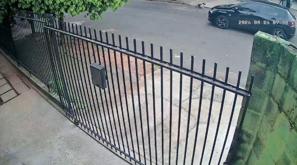 Jornal Ilustrado - Criança de 6 anos e dois cachorros são atropelados em Umuarama; motorista fugiu
