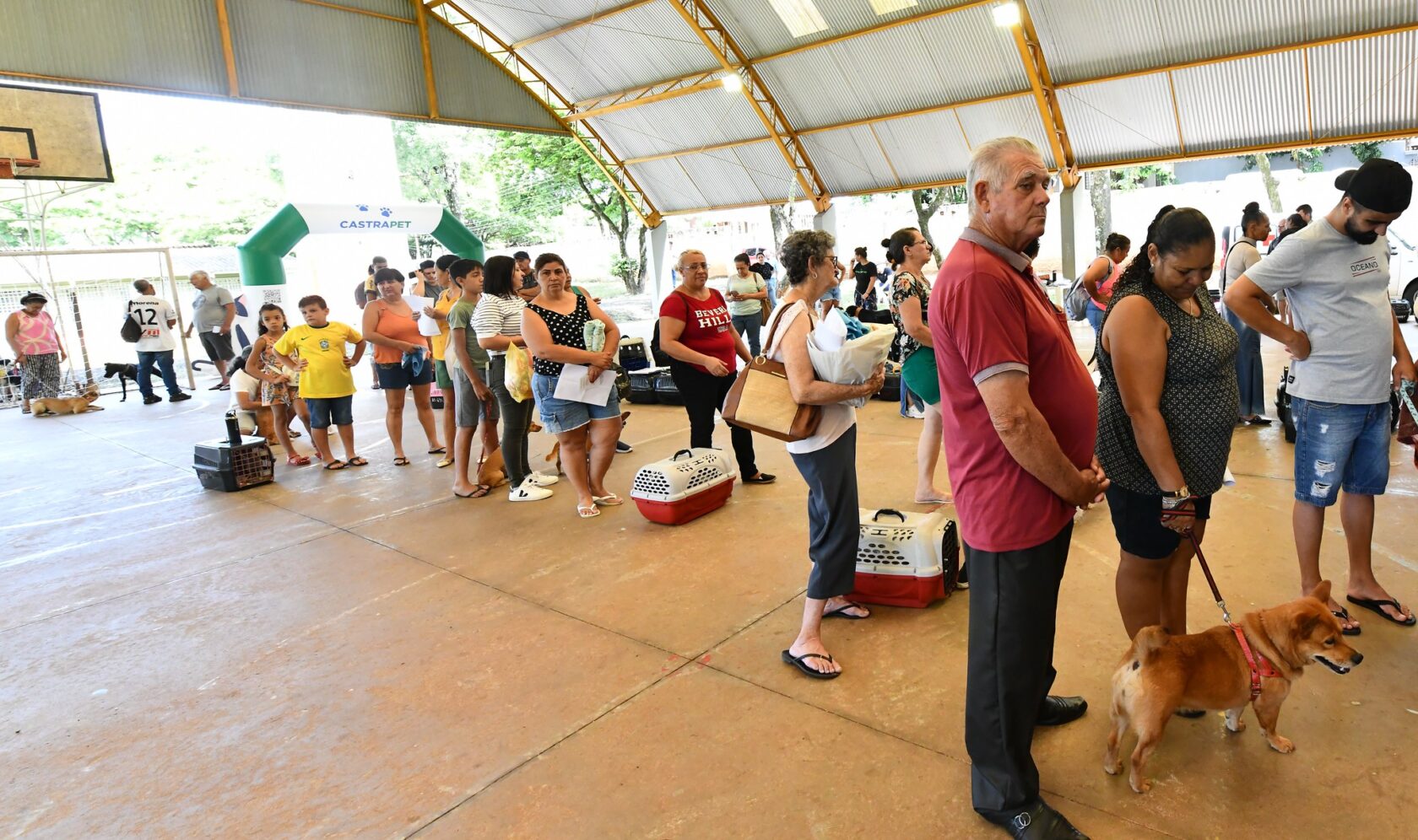 CastraPet abre inscrições para 245 castrações de cães e gatos em Umuarama