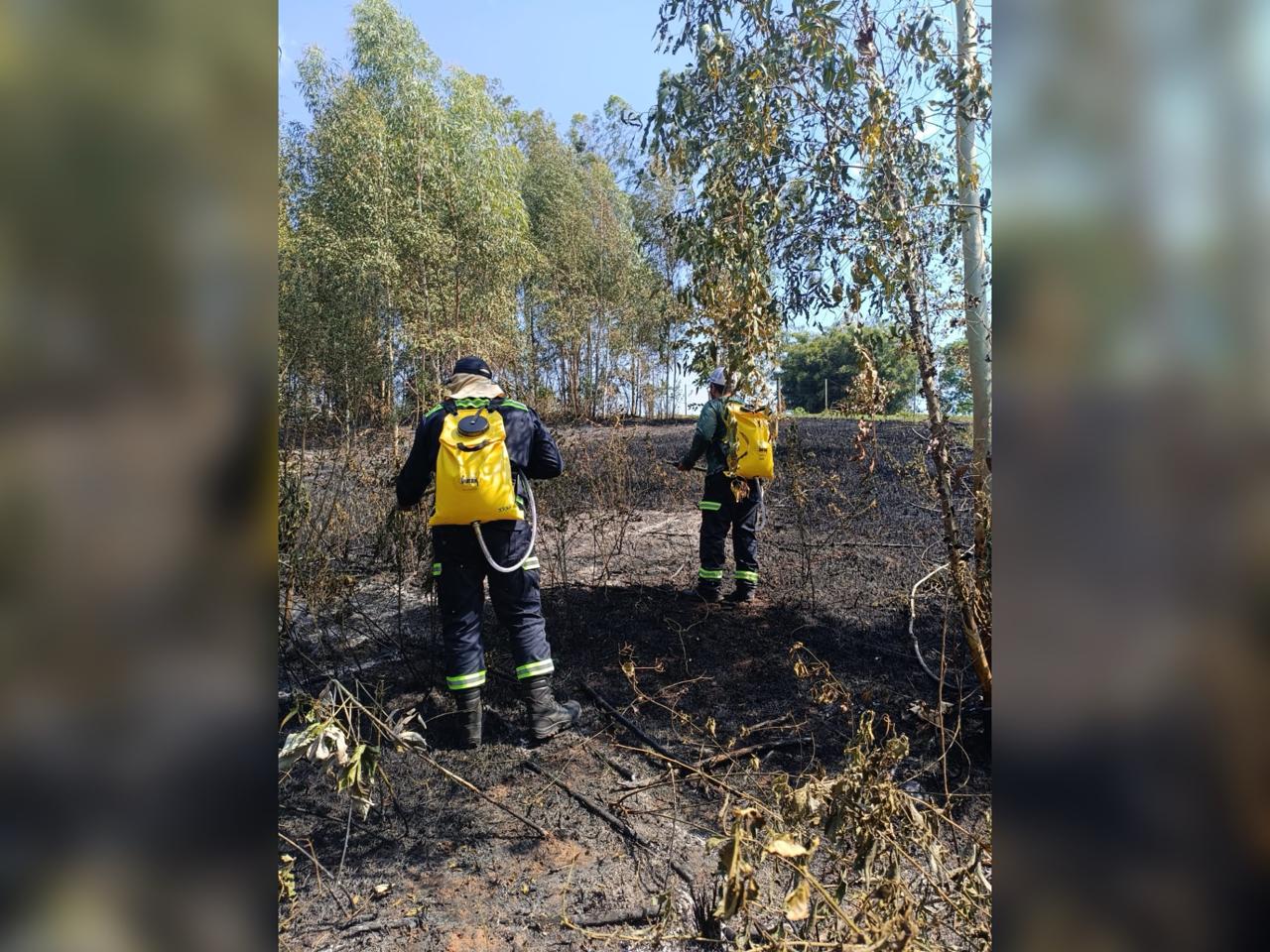 Jornal Ilustrado - O grande jornal do Noroeste do Paraná Jornal Ilustrado - Iporã: morador coloca fogo em lixo, perde o controle e provoca incêndio ambiental