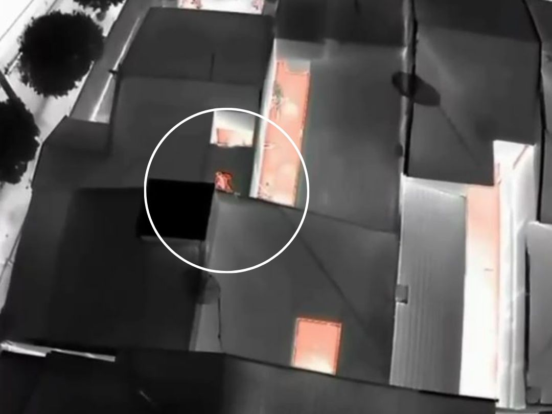 Vídeo mostra “Dog Dog” tentando fugir pelo telhado antes de fazer família refém; ASSISTA