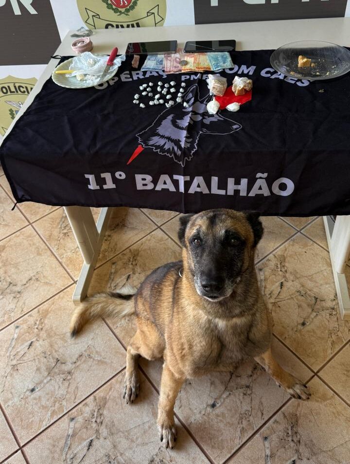 Jornal Ilustrado - Operação Maquiavélico prende dois e apreende drogas e arma em Goioerê e região