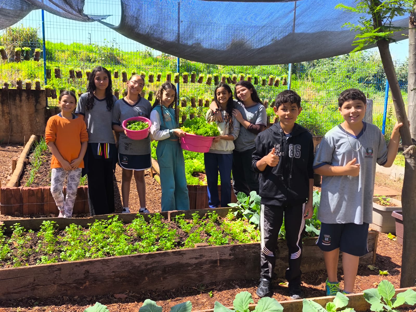 Educação em tempo integral amplia aprendizagens com projeto de sustentabilidade