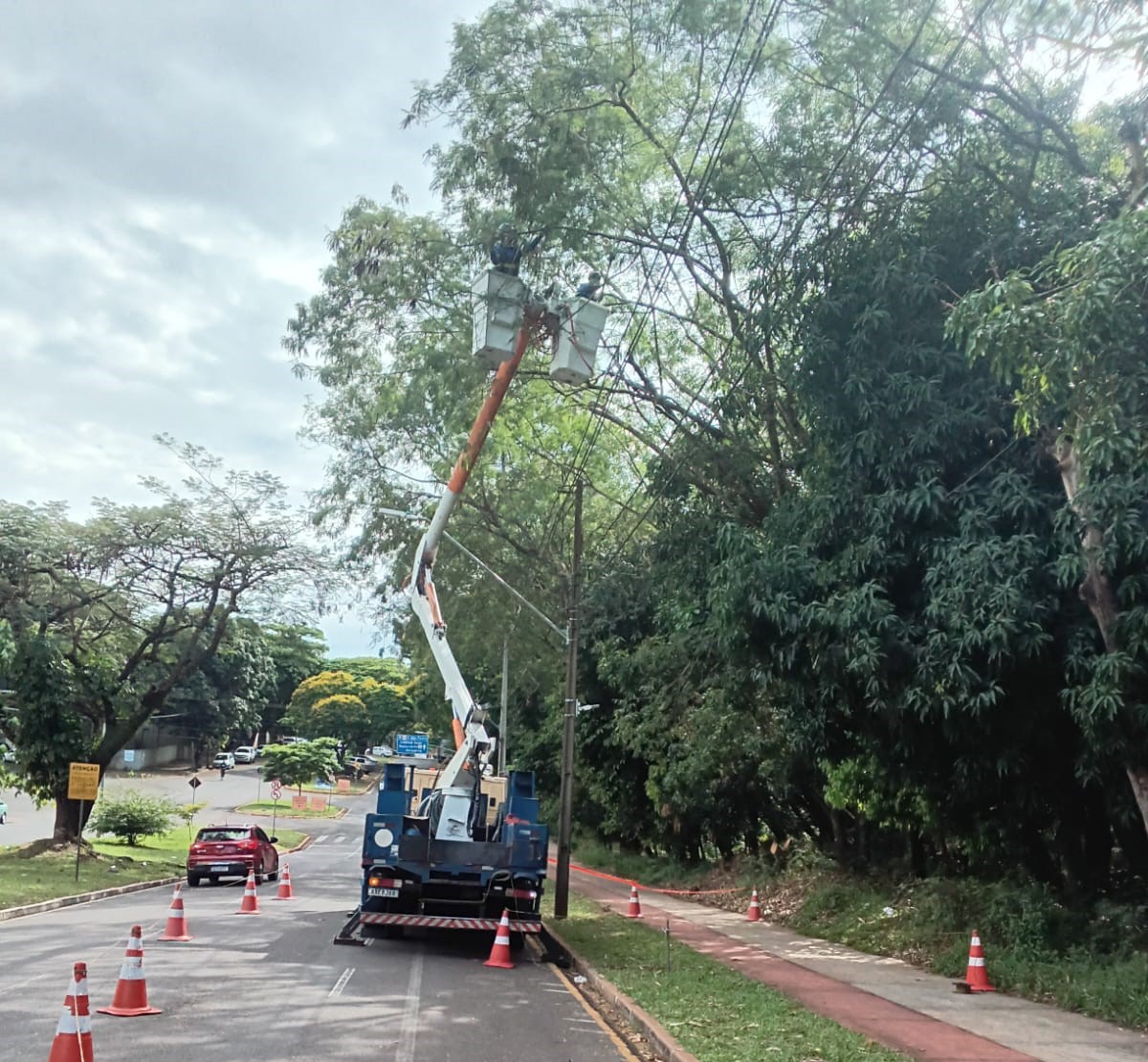 Copel e Prefeitura realizam mutirão de poda preventiva em Umuarama para reforçar segurança da rede elétrica