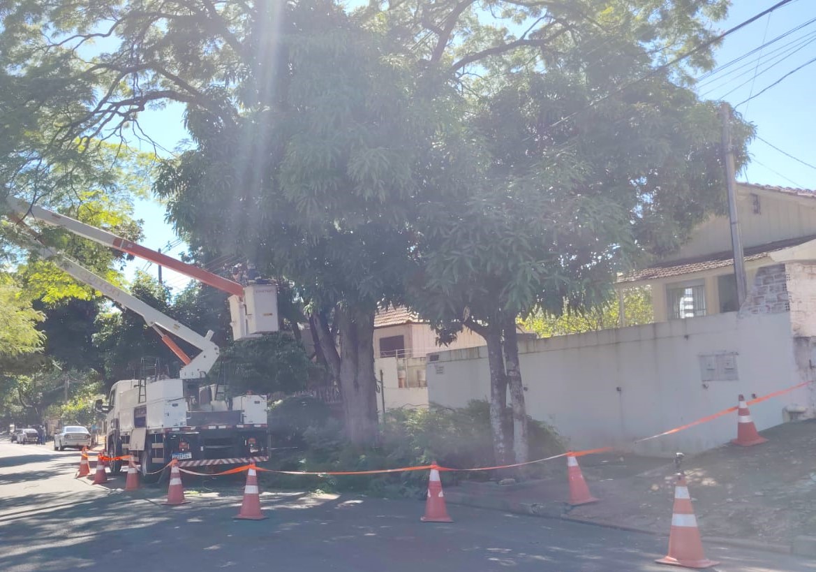 Copel e Prefeitura prorrogam mutirão de poda preventiva em Umuarama para reforçar segurança da rede elétrica