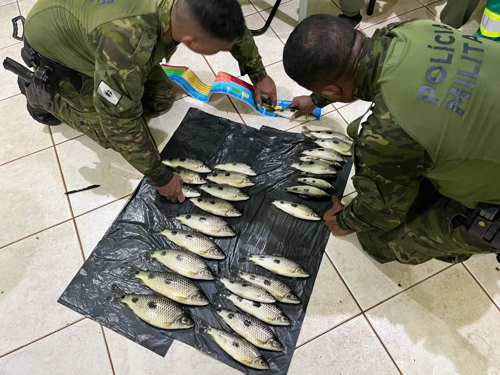 Jornal Ilustrado - Dois homens são presos por pesca irregular em área de conservação federal no Rio Paraná