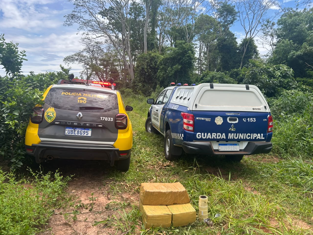 Polícia apreende mais de 75 kg de maconha em área rural de Altônia